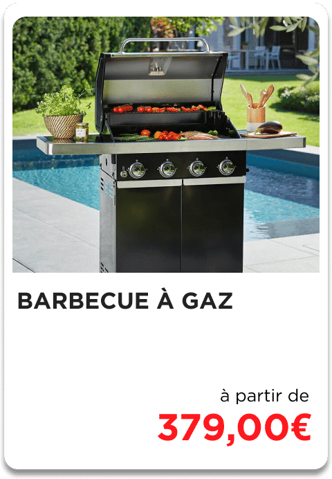 BARBECUE-A-GAZ.png